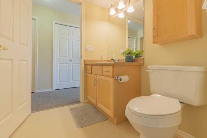 river ridge home gallery suite bathroom