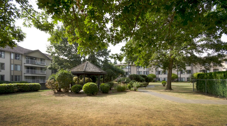 Mill Lake Seniors Community Garden Gazebo